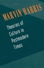 Theories of Culture in Postmodern Times