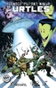 Teenage Mutant Ninja Turtles Classics Volume 5