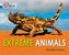 Extreme Animals
