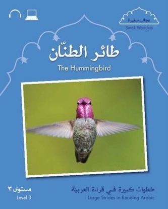 The Small Wonders: the Hummingbird