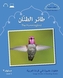 The Small Wonders: the Hummingbird