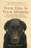 Your Dog is Your Mirror
