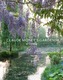 Claude Monet's Gardens at Giverny