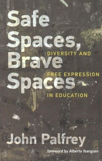 Safe Spaces, Brave Spaces