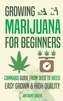 Growing Marijuana for Beginners