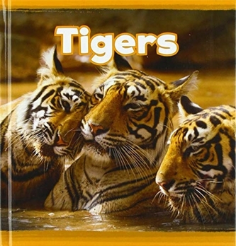 Tigers