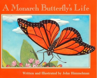 MONARCH BUTTERFLYS LIFE A