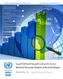 National accounts studies of the Arab region