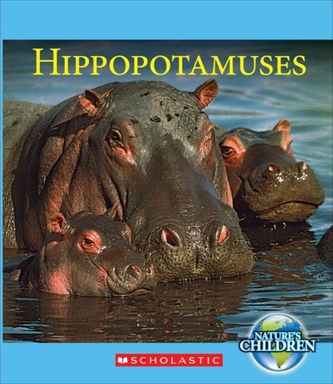HIPPOPOTAMUSES