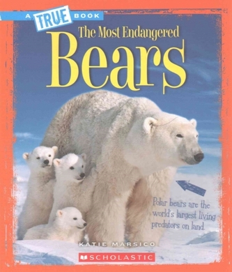 BEARS