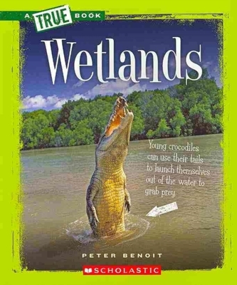 WETLANDS