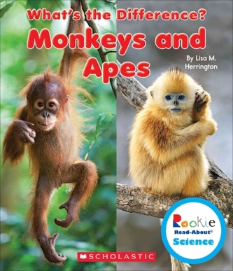MONKEYS & APES
