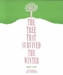 The Tree That Survived the Winter