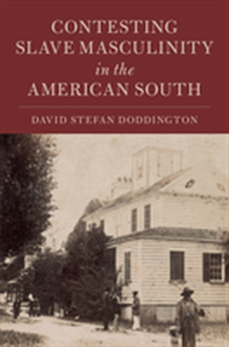 Cambridge Studies on the American South