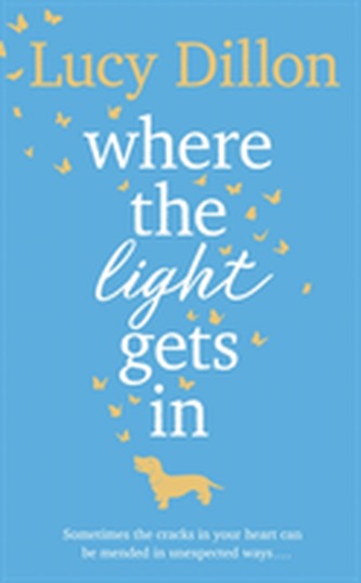 Where The Light Gets In