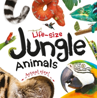 LIFESIZE JUNGLE ANIMALS