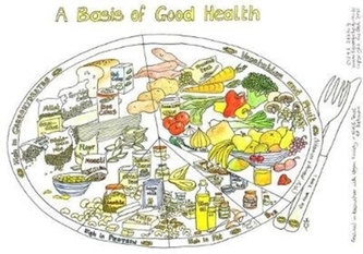 Colouring Plate activity chart
