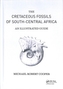 Cretaceous Fossils of South-Central Africa