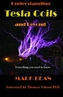 Understanding Tesla Coils and Beyond