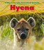 Hyena