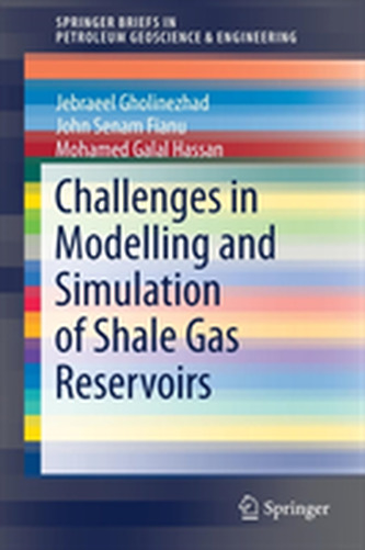 Challenges in Modelling and Simulation of Shale Gas Reservoirs