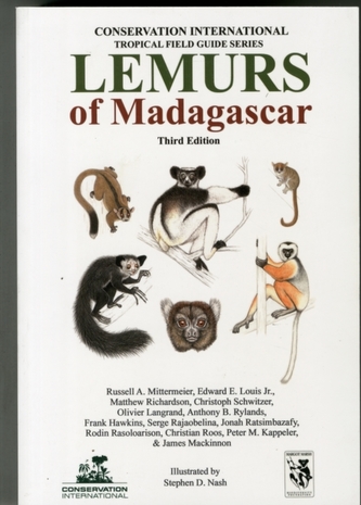 Lemurs of Madagascar