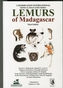 Lemurs of Madagascar