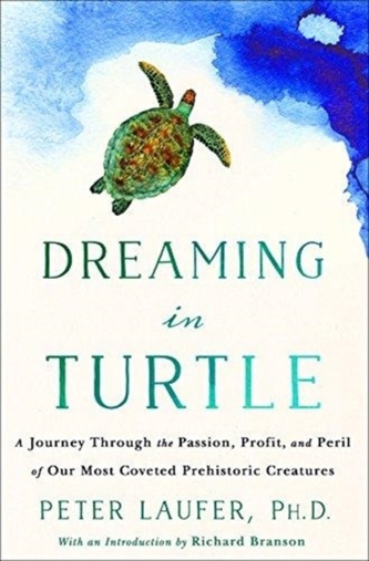 DREAMING IN TURTLE