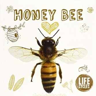 Honey Bee