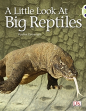 BC NF Blue (KS1) B/1B A Little Look at Big Reptiles