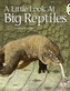 BC NF Blue (KS1) B/1B A Little Look at Big Reptiles
