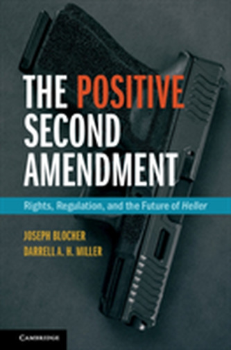 Cambridge Studies on Civil Rights and Civil Liberties