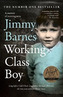 Working Class Boy