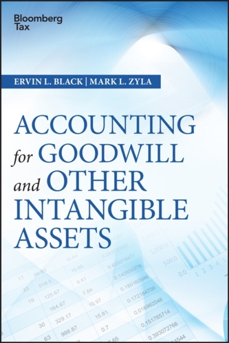 Accounting for Goodwill and Other Intangible Assets