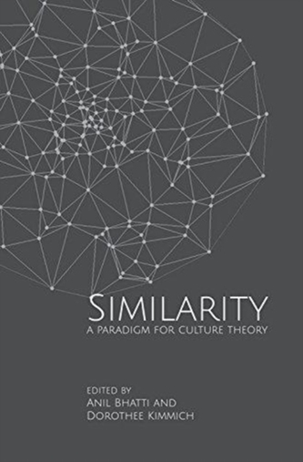Similarities - A Paradigm for Culture Theory
