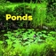Ponds