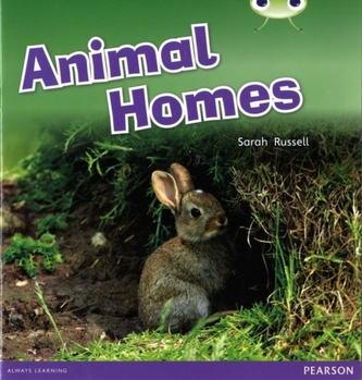 Bug Club Non-fiction Pink B Animal Homes