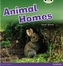 Bug Club Non-fiction Pink B Animal Homes