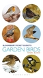 Pocket Guide to Garden Birds