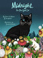 Midnight, the One-Eyed Cat
