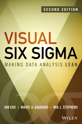 Visual Six Sigma