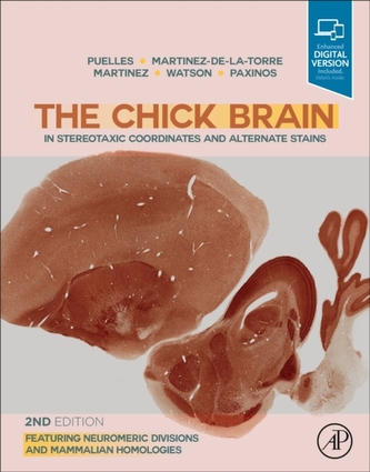 The Chick Brain in Stereotaxic Coordinates and Alternate Stains