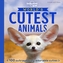 World's Cutest Animals
