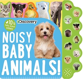 DISCOVERY NOISY BABY AN