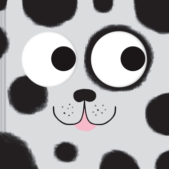 Catch Me: A Seek-and-Find Book