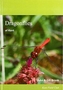 Dragonflies of Kent