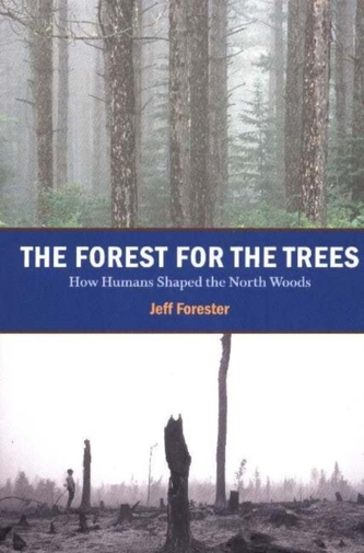 Forest for the Trees