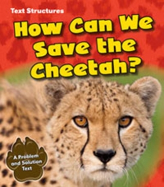How Can We Save the Cheetah?