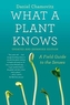 WHAT A PLANT KNOWS REVISED