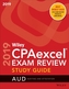 Wiley CPAexcel Exam Review 2019 Study Guide